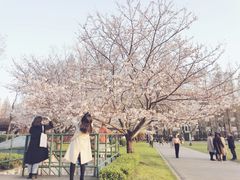 -复旦大学光华楼