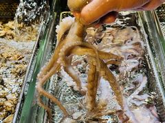 -万龙洲海鲜(南新仓店)