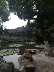 -苏州大学附属儿童医院(景德路院区)