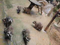 -杭州野生动物世界