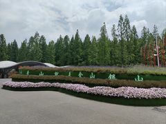 -东平国家森林公园