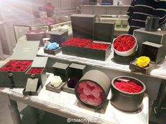 -ROSEONLY诺誓(青岛万象城店)