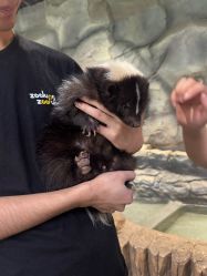 -Zoolung Zoolung动物主题公园(海信广场店)