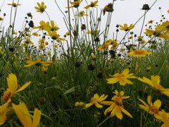 -无锡新湖铂尔曼大酒店