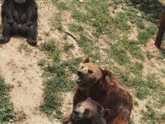 -无锡动物园·太湖欢乐园