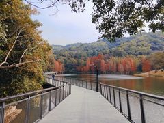 -广州市白云山风景名胜区