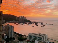 -南澳岛打卡果汁冰公司