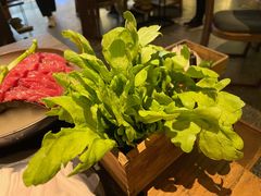 茼蒿-盡膳口福跷脚牛肉火锅(合生汇购物中心店)