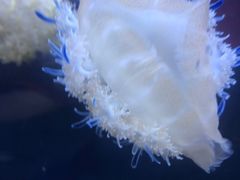 -五缘湾悦都汇购物中心