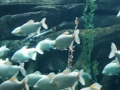 -波塞冬旅游度假区