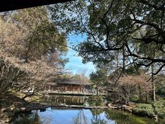 -杭州植物园
