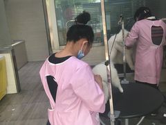-暖阳宠物医院·犬猫康复中心·骨科
