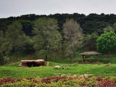 -沈阳森林动物园
