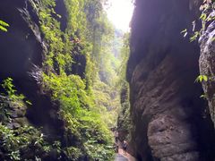 -龙水峡地缝景区