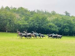 -广州雕塑公园