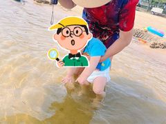 -碧海金沙