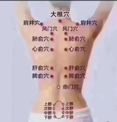 -香薇妮丝女子减肥院