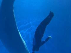 -多彩贵州城极地海洋世界