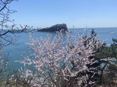 -棒棰岛宾馆景区