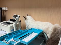 -谐和贝康宠物医院24小时·宠保定点(急重症转诊中心)