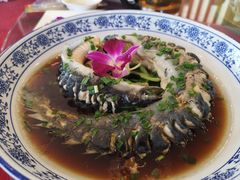 清蒸鳗鱼-上海南汇嘴大堤酒店