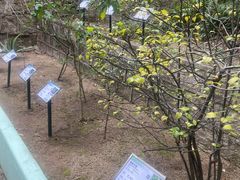-石排湾郊野公园