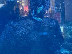 -鸿通城购物中心