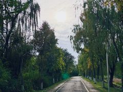 -白鹭湾湿地公园