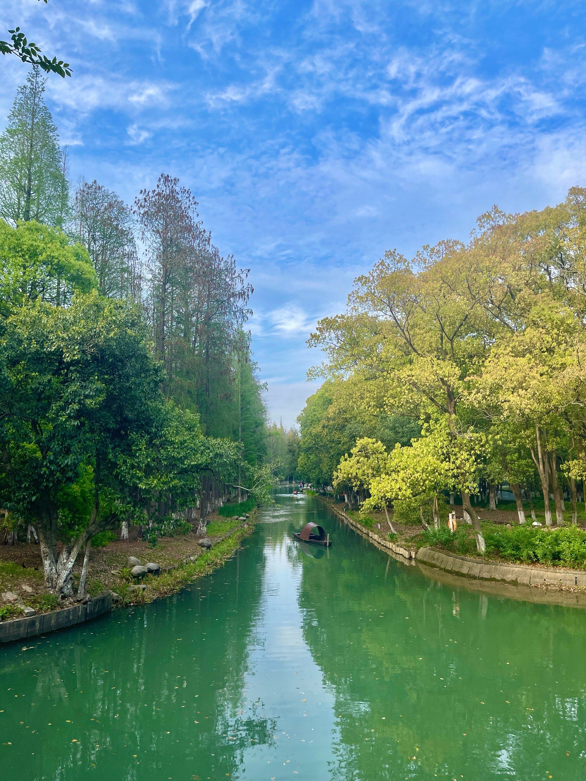 万公堤 周末踏青免费小众景点推荐🌲