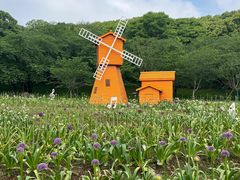 -苏州上方山国家森林公园