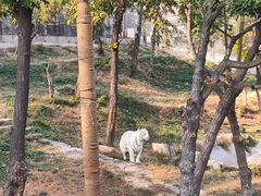 -石家庄市动物园