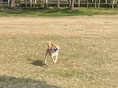 -山明水秀大饭店