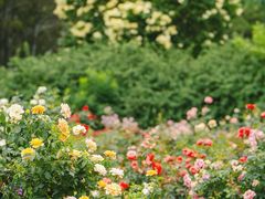 -国家植物园南园