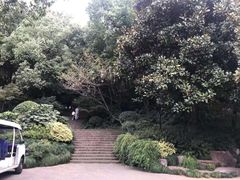 -杭州半山国家森林公园