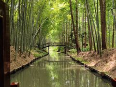 -同里国家湿地公园