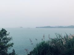 -旺富东海大酒楼(海鲜街店)