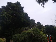 -晓港公园