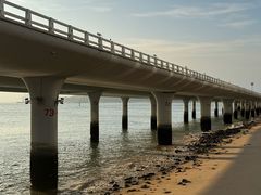 -演武大桥观景平台