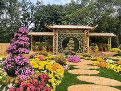 -上海共青森林公园