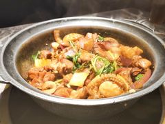 -禄婶鸡煲·打边炉
