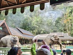 -野象谷景区
