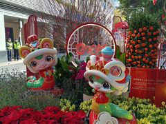 -越秀西湖花市(广州城市广场花卉店)