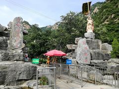 -大岭沟猕猴桃谷风景区