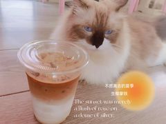 -灯塔咖啡馆BOOK·Coffee Shop