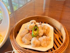 豉汁蒸排骨-龙悦湾酒家·八阵鱼生·渔人码头店