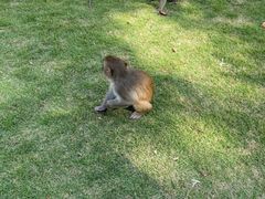 -苏州上方山国家森林公园
