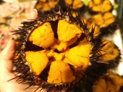 -77号·蒸海鲜青岛菜(积米崖店)
