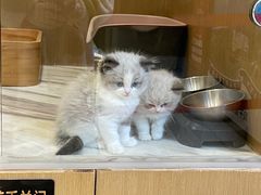 -悠尼宠物·独立低压伊珊娜洗护·美容·寄养(兰谷路店)