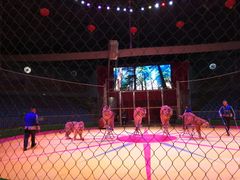 -西安秦岭野生动物园