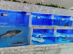 -香山湖渔家大院